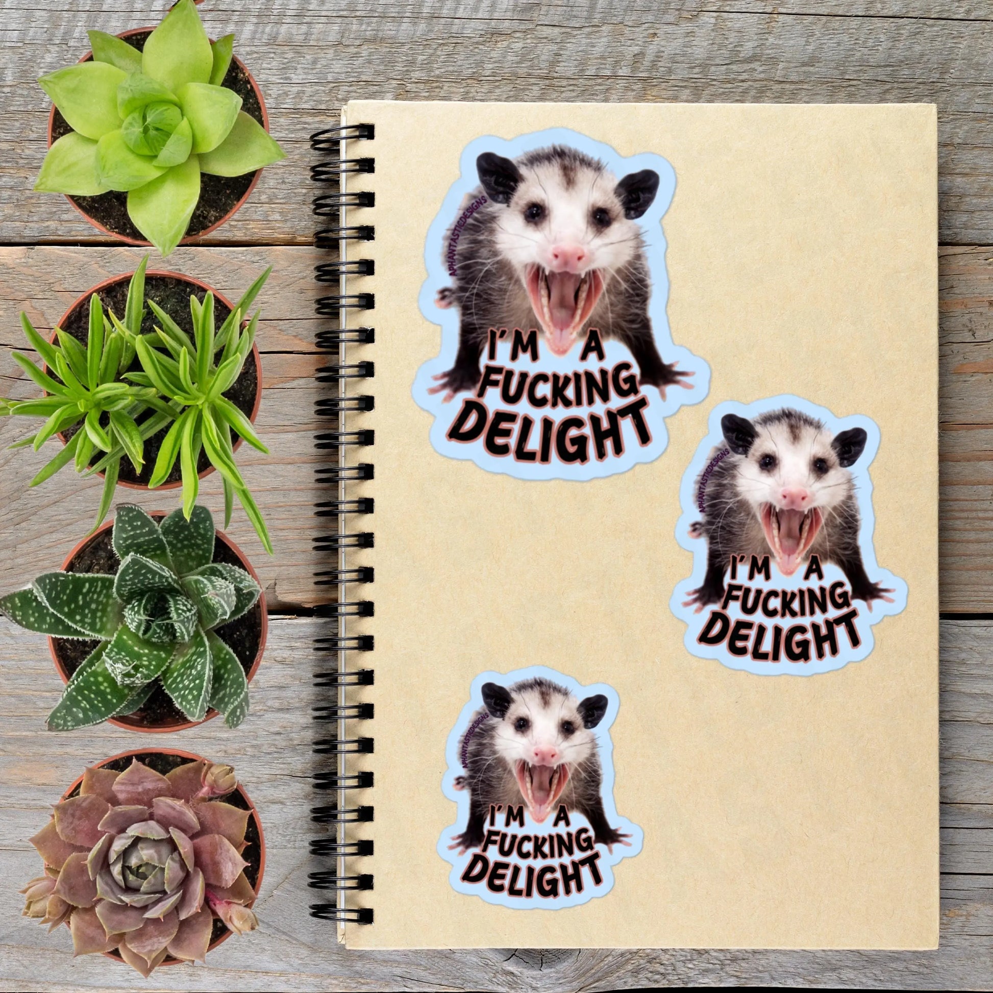 2-6 Inch NSFW I'm A Delight Opossum Vinyl Sticker Aphantastic Designs