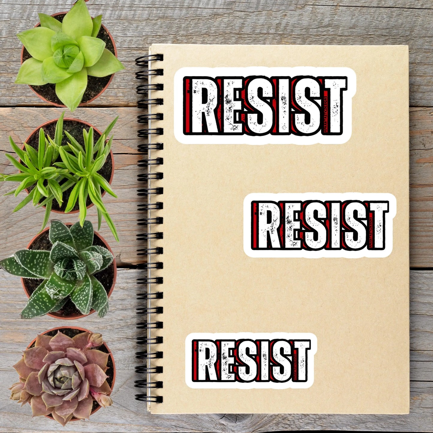2-6 Inch Resist Anti Trump Political Protest Vinyl Sticker Aphantastic Designs