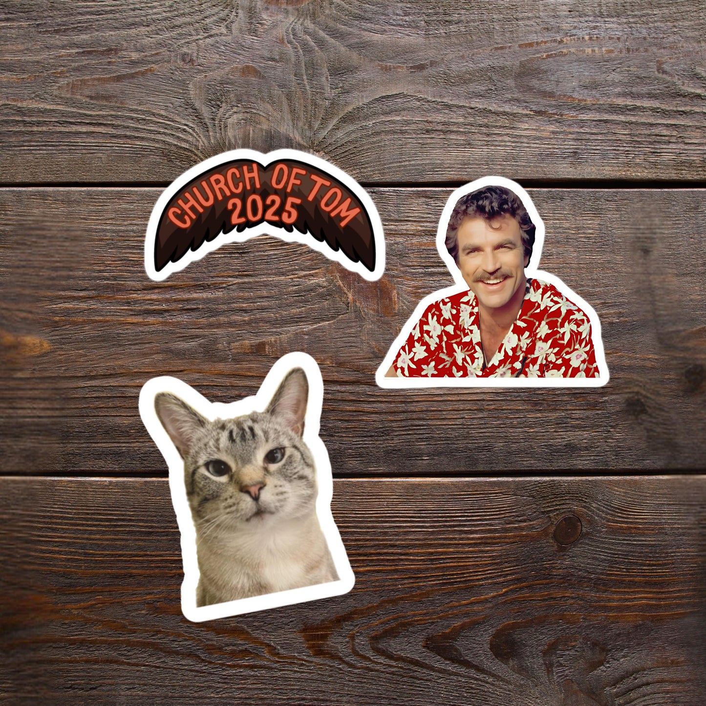 2"- 6" Custom Vinyl Stickers Die Cut Logo Name Photo For Business Band Influencer Author Marketing