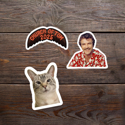 2"- 6" Custom Vinyl Stickers Die Cut Logo Name Photo For Business Band Influencer Author Marketing