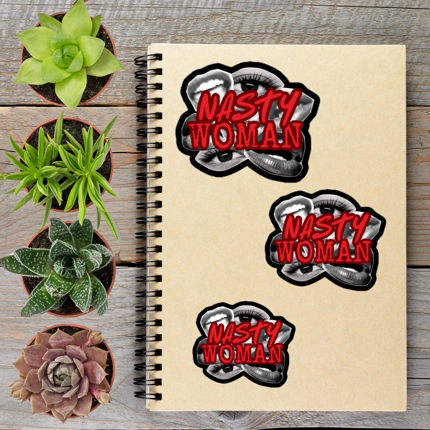 2-6 Inch Nasty Woman Feminist Anti Trump Political Protest Vinyl Sticker Aphantastic Designs