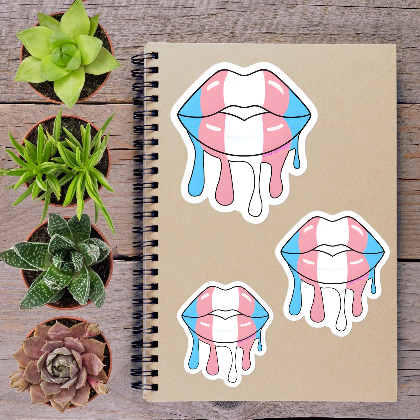 a spiral-bound notebook with three stickers of melting lips, surrounded by potted plants on a wooden surface.