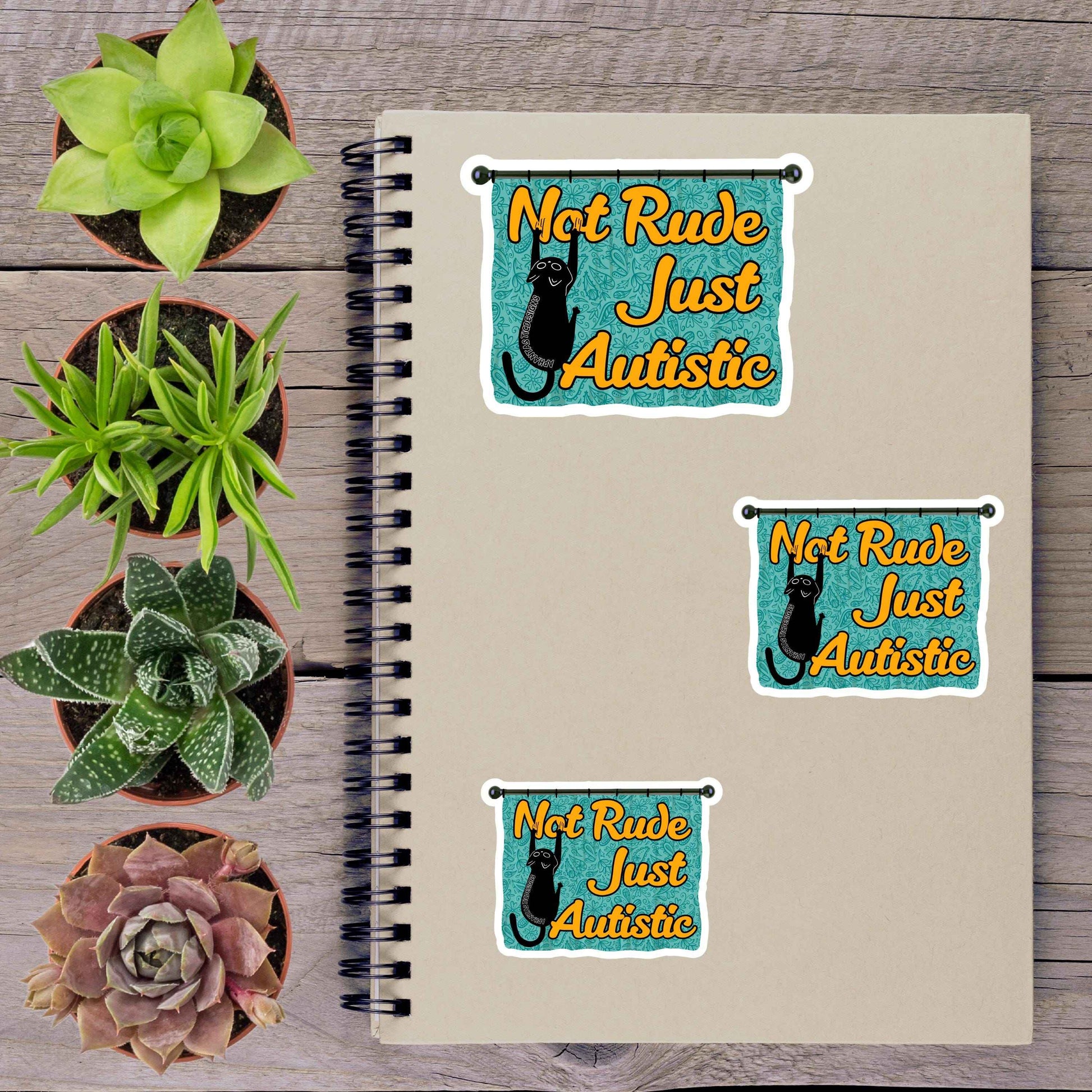 Not Rude Just Autistic Black Cat Vinyl Sticker