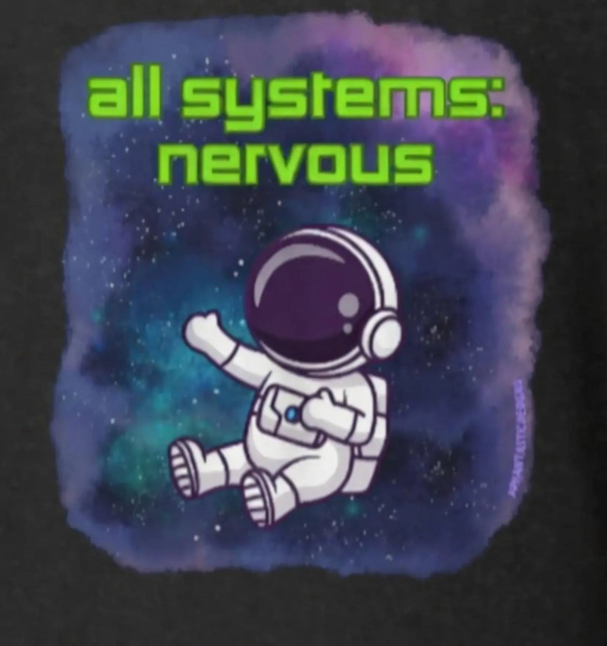 The image is a promotional graphic for a company called "Aphantastic Designs". It features a black sweatshirt with a cat design, a water bottle with stickers, and a plant in a white pot. The text above the image reads "I've tested multiple vendors to find the best premium products around!"
