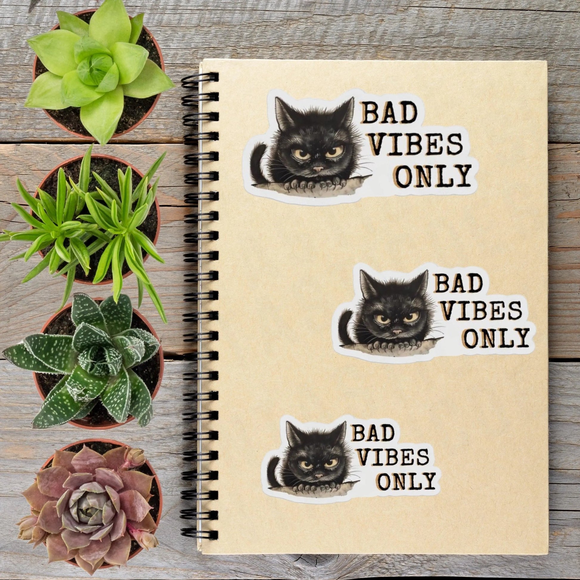 Black Cat Bad Vibes Only Vinyl Sticker - Aphantastic Designs