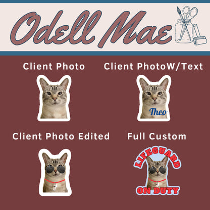 2"- 6" Custom Vinyl Stickers Die Cut Logo Name Photo For Business Band Influencer Author Marketing