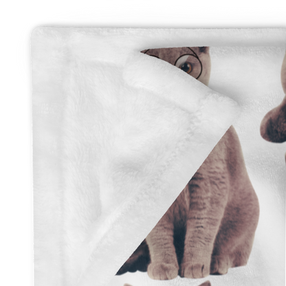 A close-up of a cat's face peeking out from behind a white fabric, with a blurred background.