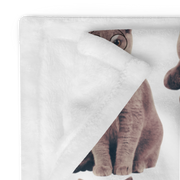 A close-up of a cat's face peeking out from behind a white fabric, with a blurred background.