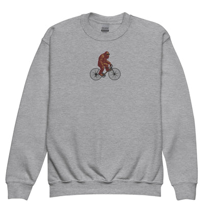 Custom Embroidered Youth Big Kids Sweatshirt - Aphantastic Designs