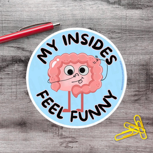 2-6 Inch My Insides Feel Chronic Illness Disability Pregnancy Vinyl Sticker Aphantastic Designs