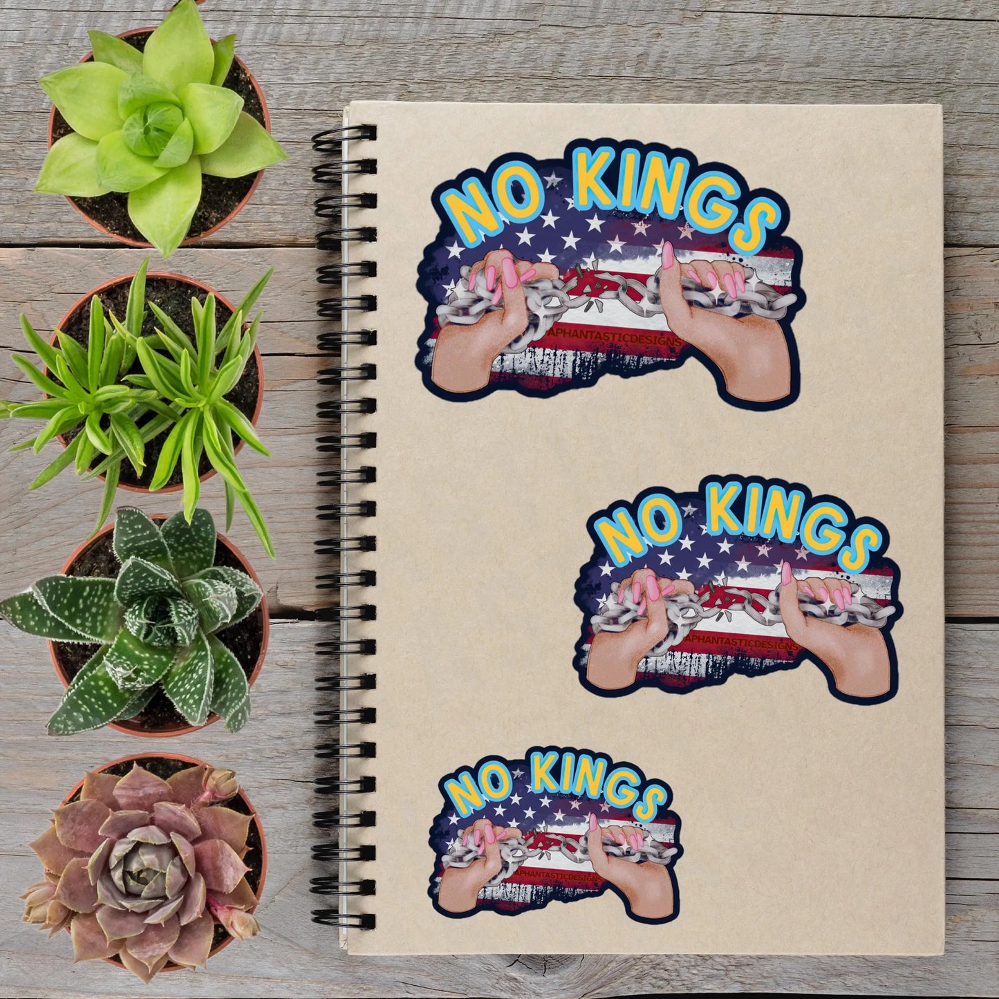 2-6 Inch No Kings Anti-Trump Political Protest Vinyl Sticker Aphantastic Designs