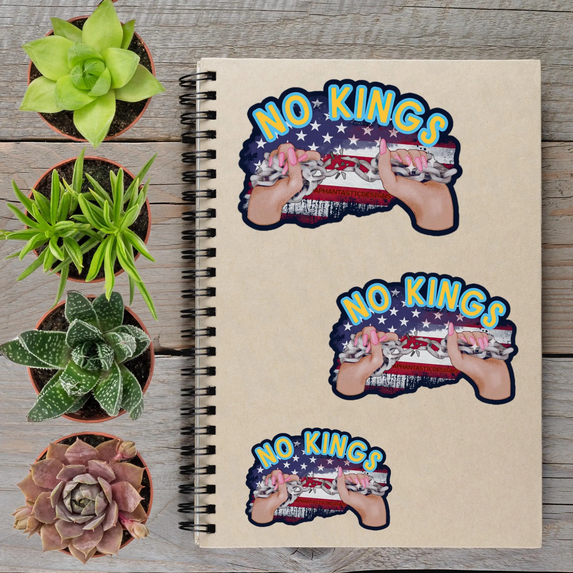 2-6 Inch No Kings Anti-Trump Political Protest Vinyl Sticker Aphantastic Designs