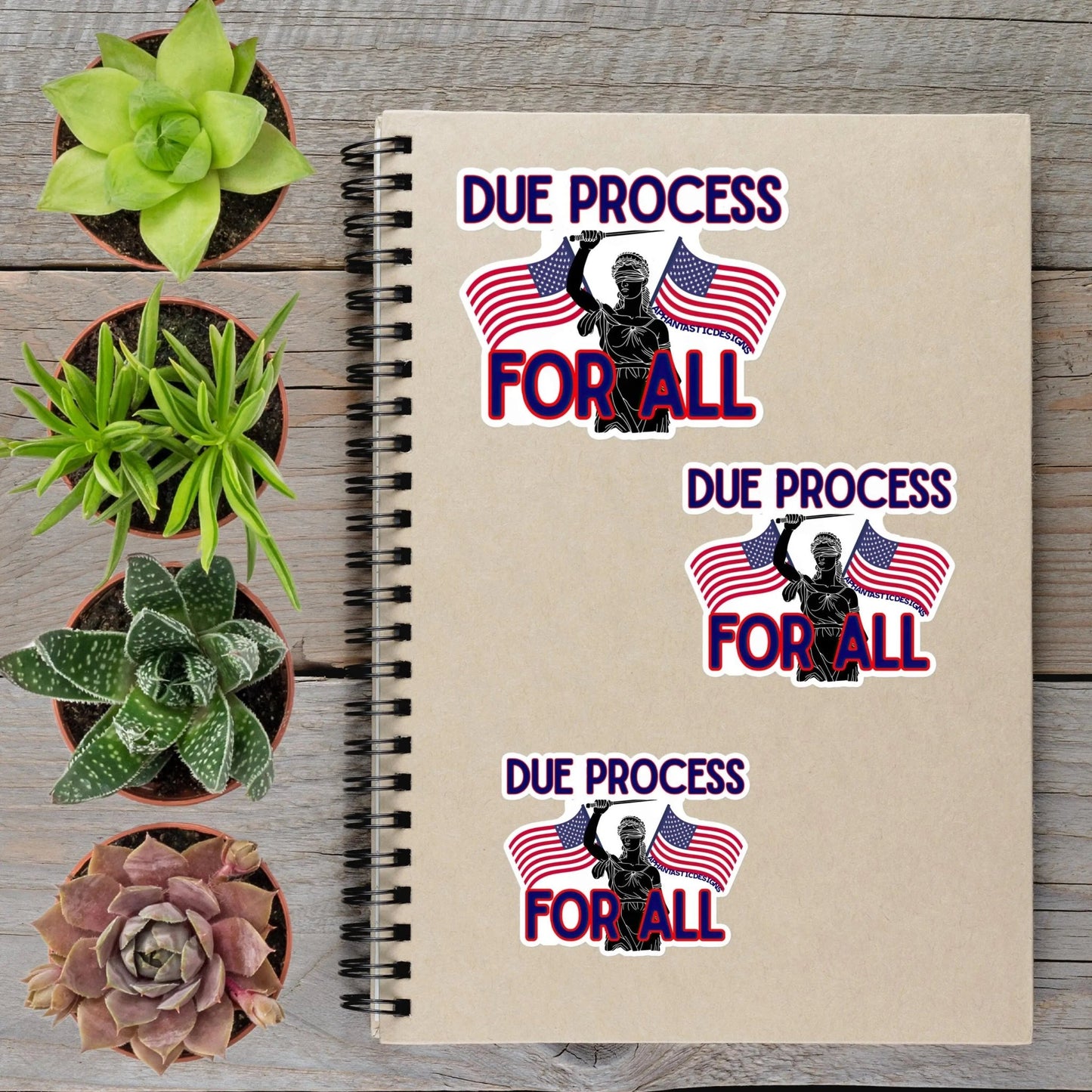 Due Process For All Anti Trump Political Protest Vinyl Sticker | LIMITED RUN - Aphantastic Designs