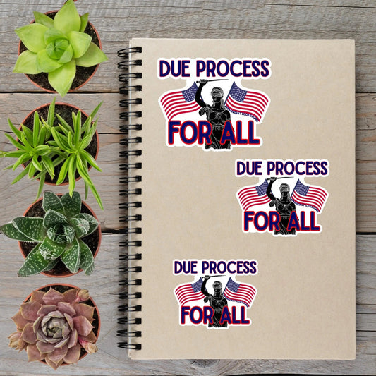 Due Process For All Anti Trump Political Protest Vinyl Sticker | LIMITED RUN - Aphantastic Designs