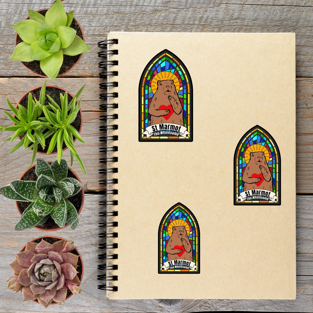 a spiral notebook with stickers of a stained glass window and a bear, along with several potted plants arranged on a wooden surface.