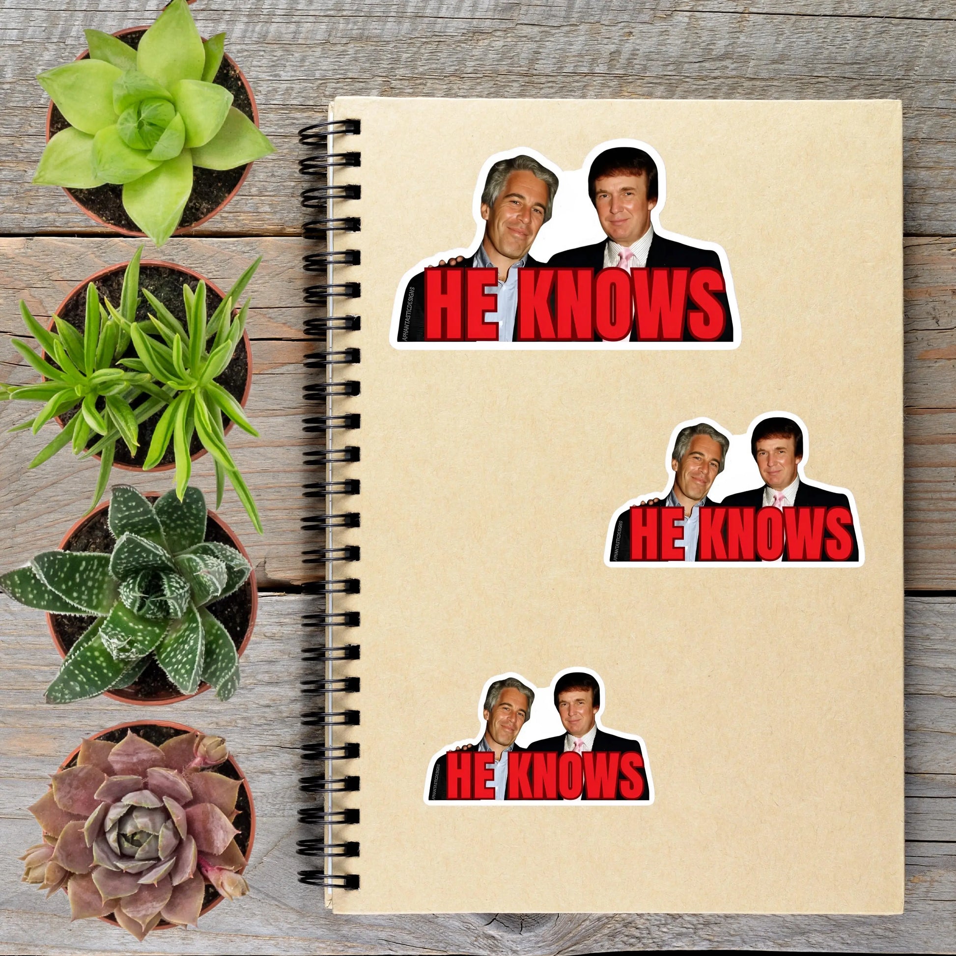 2-6 Inch Epstein List He Knows Anti Trump Political Protest Vinyl Sticker Aphantastic Designs