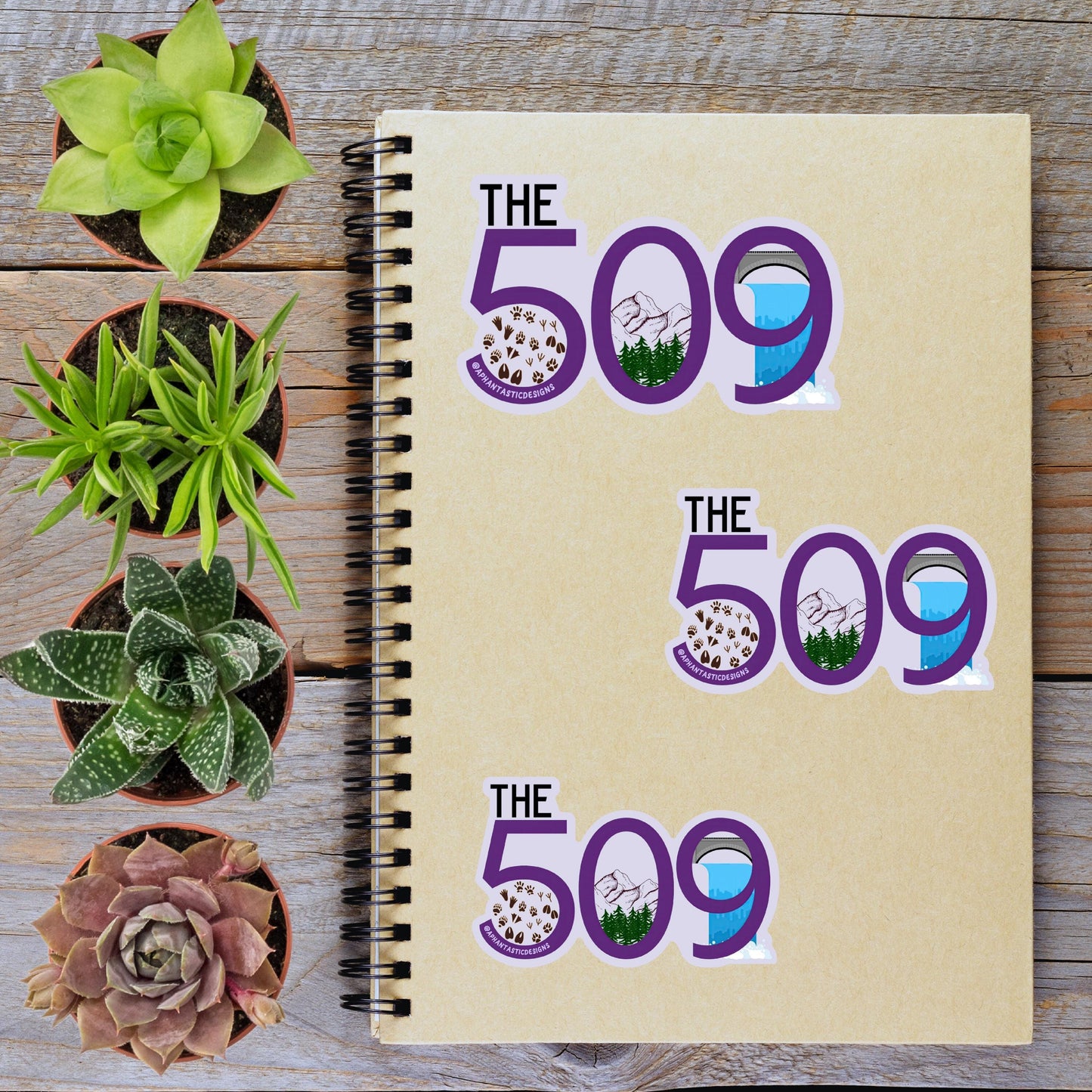 a spiral-bound notebook with the number "509" printed on it, surrounded by various potted plants and succulents.
