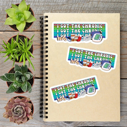 2-6 Inch I Got The Chronic Illness Disability Vinyl Sticker Aphantastic Designs