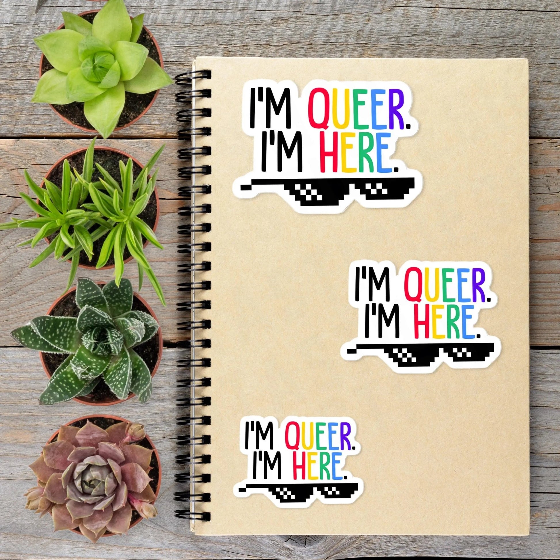 LGBTQ Pride I'm Queer I'm Here Get Over It Vinyl Sticker - Aphantastic Designs