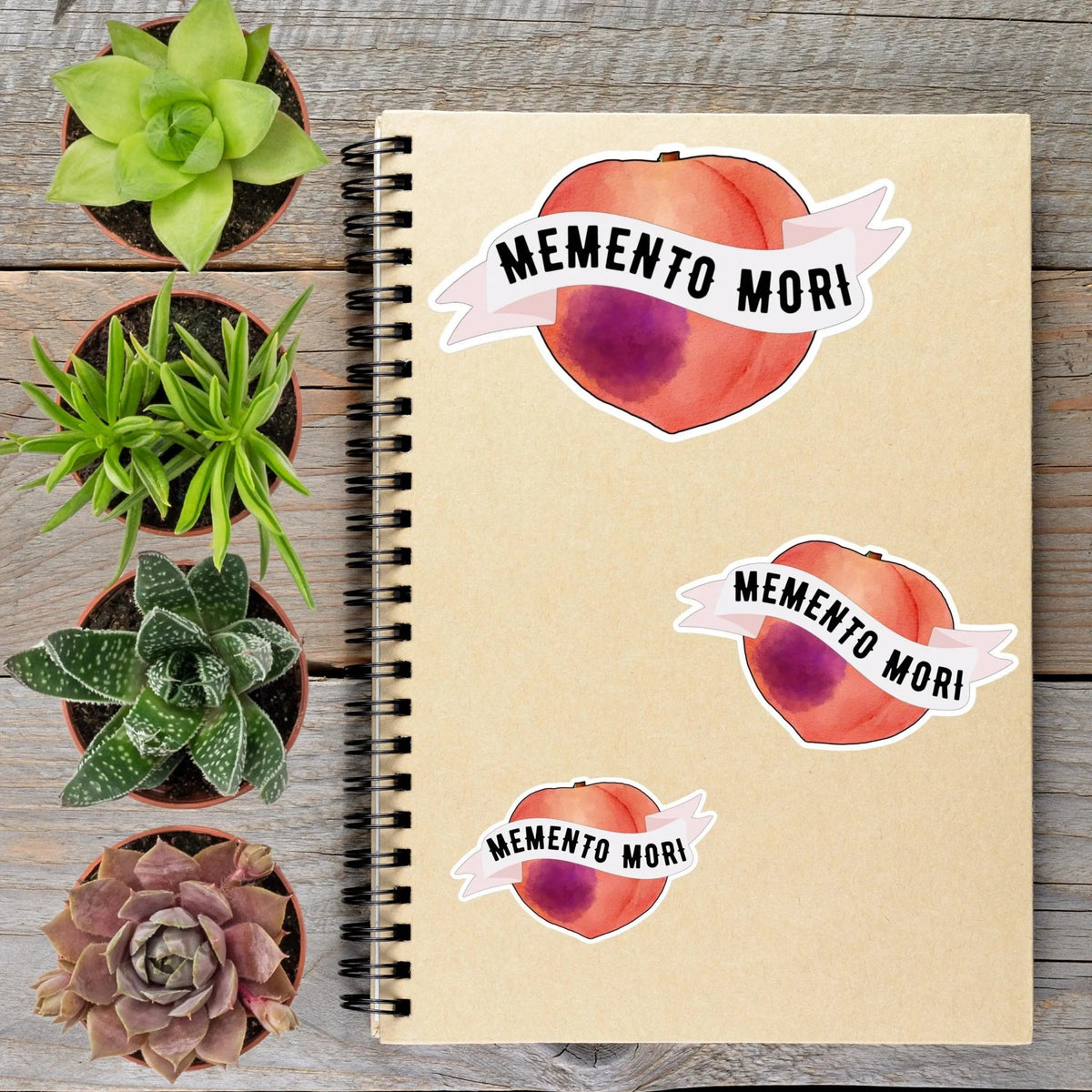 Memento Mori Stoic Peach Vinyl Sticker - Aphantastic Designs