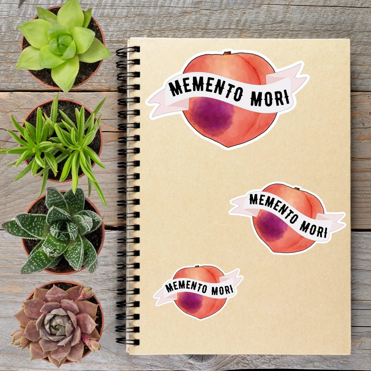 Memento Mori Stoic Peach Vinyl Sticker - Aphantastic Designs