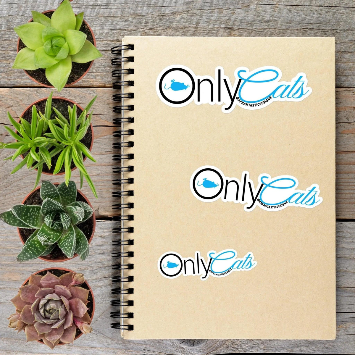 Only Cats Vinyl Sticker - Aphantastic Designs