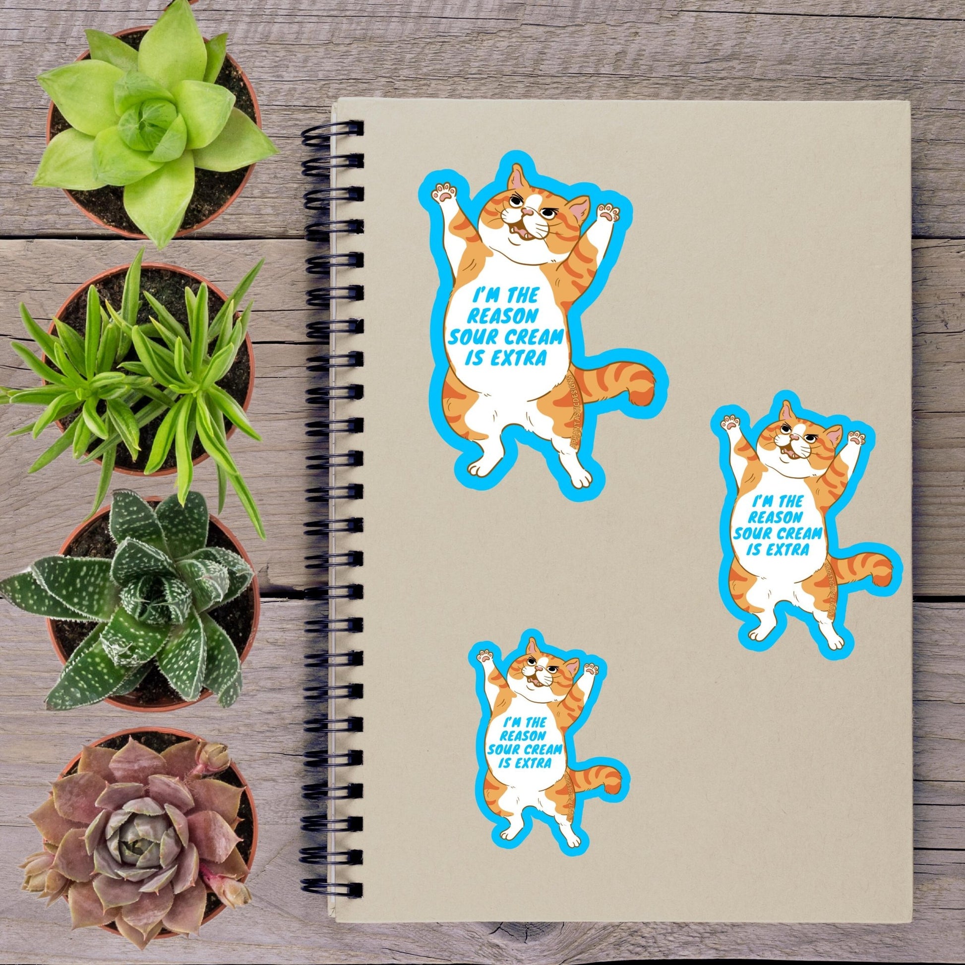 Orange Cat Sour Cream Lover Vinyl Sticker - Aphantastic Designs