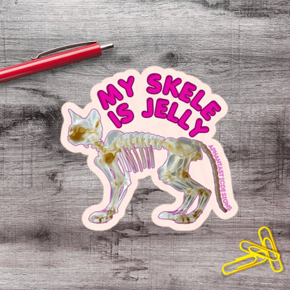 2-6 Inch Skele Is Jelly Cat Disability Chronic Illness Vinyl Sticker Aphantastic Designs